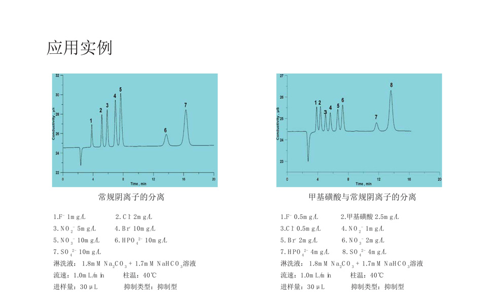 上海舜宇恒平IC1800離子色譜儀