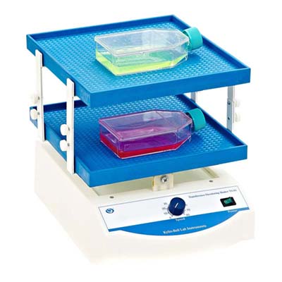 海門(mén)其林貝爾TS-8S轉(zhuǎn)移脫色搖床