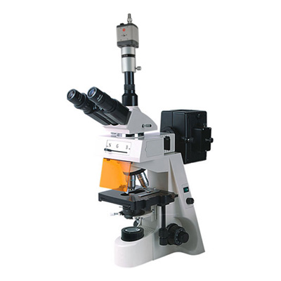 BM-19AYC熒光顯微鏡（電腦、落射）
