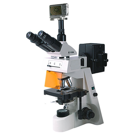 BM-19AYS熒光顯微鏡（數碼、落射）